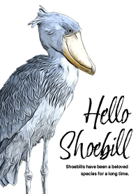 Hello shoebill!