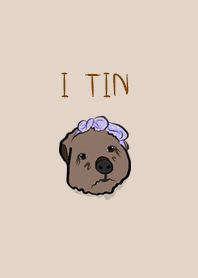 I TIN