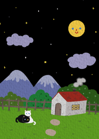 Cute little cat looks at the stars