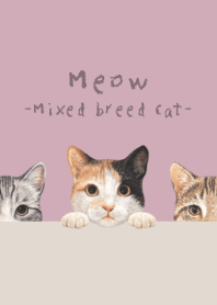 Meow-Mixed breed cat 01-DUSTY ROSE PINK