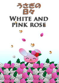 Rabbit daily(White and pink rose)