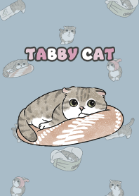 tabbycat10 / light steel blue