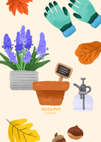 Foliage Plants 9