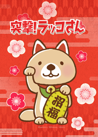 Rakko-san invite good luck