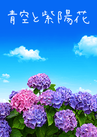 Clear sky and hydrangea from Japan