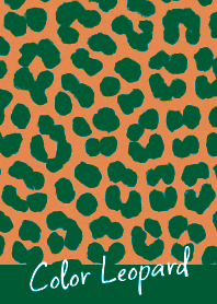 COLOR LEOPARD THEME -56