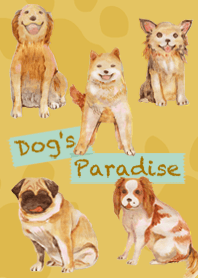 Dog's Paradise
