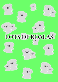 LOTS OF KOALAS-NEON GREEN-BLACK