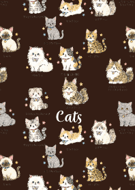 My beloved cat01 brown