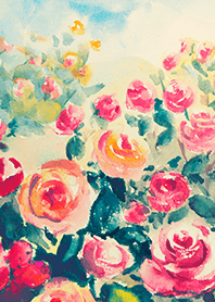 Beautiful rose flower(R4399)