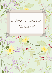 Little natural flowers 10 SUMMER
