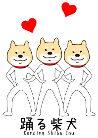 踊る柴犬