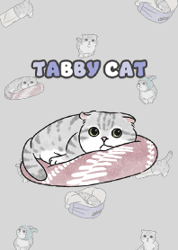 tabbycat9 / light grey