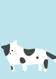 Cow cats