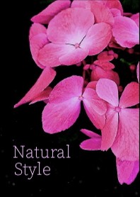 Natural Style (Vivid Flowers)