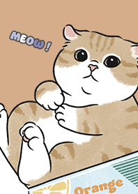 neko single16 / burly wood