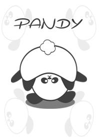 Pandy Pandy