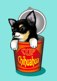 カップチワワ