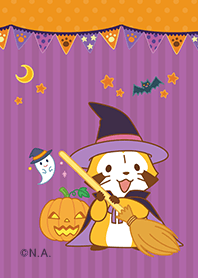 ハロウイン☆ラスカル