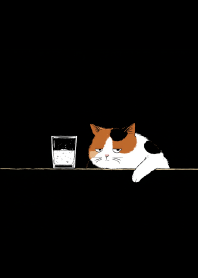 The Midnight Meltdown