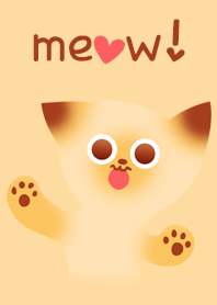 Kitten