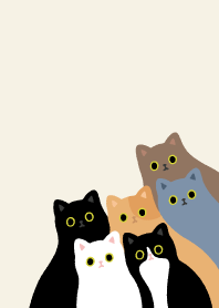 cats cats cats meow_white1