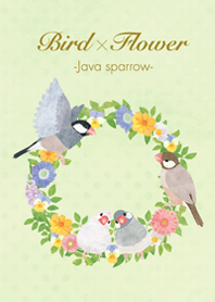 Bird x Flower -Java sparrow-