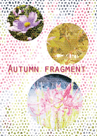 秋の欠片～Autumn fragment～