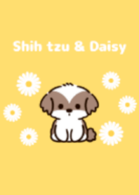Shih Tzu and Daisy theme.