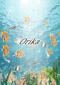Orika Coral & tropical fish