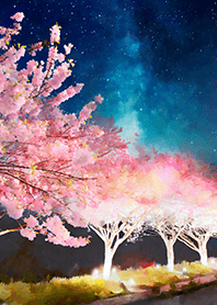 Beautiful night cherry blossoms#958