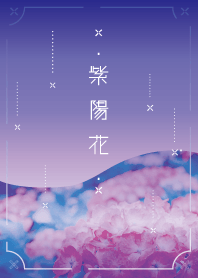 紫陽花と梅雨