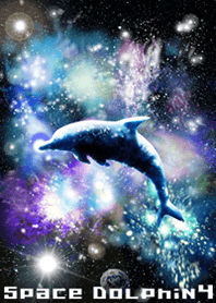 Space Dolphin 4