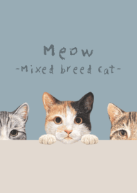 Meow - Mixed breed cat 01 - DUSTY BLUE