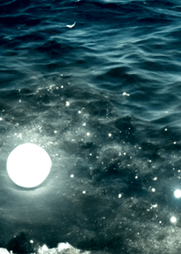 夜の月 月の海 #4ja_29。