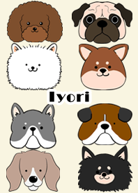 Iyori Scandinavian dog style