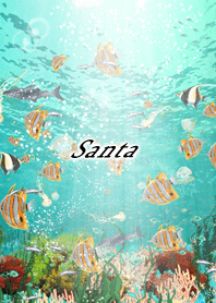 Santa Coral & tropical fish2