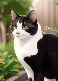 花園裡的可愛賓士貓咪