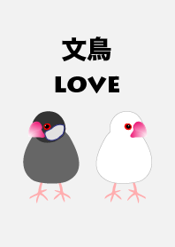 java sparrow lover