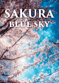 青空に咲く春の桜