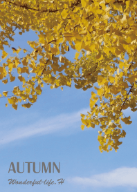 AUTUMN THEME.