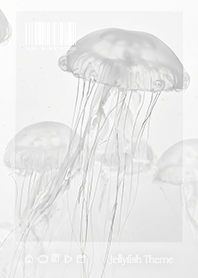 Jellyfish Theme - 005 WH STIC