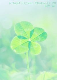 4-Leaf Clover Photo#1-20Not AI