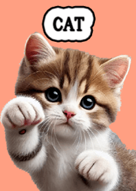 にゃんこーず（招き猫？）