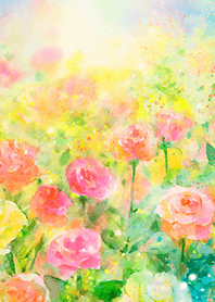 Beautiful rose flower(R5721)