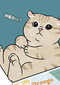 neko single19 / neil blue