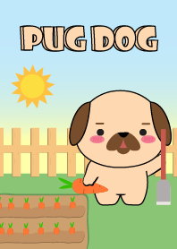 Oh! Cute Pug Dog Theme