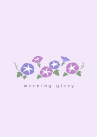 Simple flower/morning glory(purple)