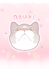 azuki of a cat