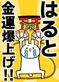 Fortune rise rabbiit[Haruto]